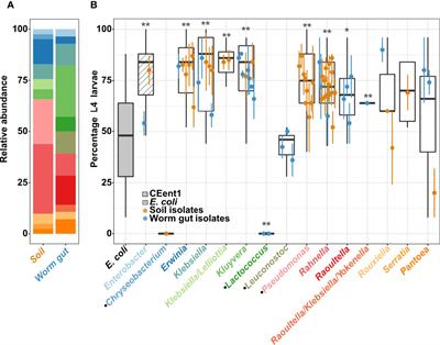 Host Preference of Beneficial Commensals in a Microbially-Diverse Environment